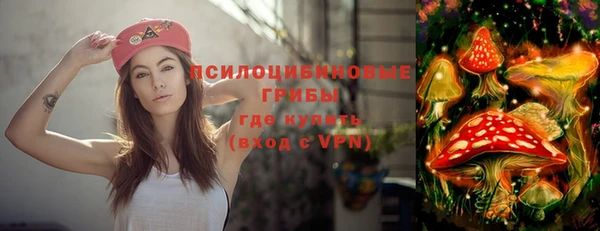 сатива Зеленокумск