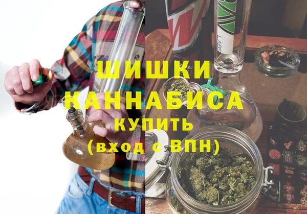 сатива Зеленокумск
