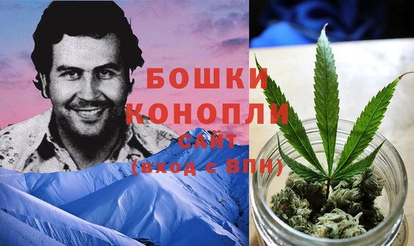 ПСИЛОЦИБИНОВЫЕ ГРИБЫ Зерноград