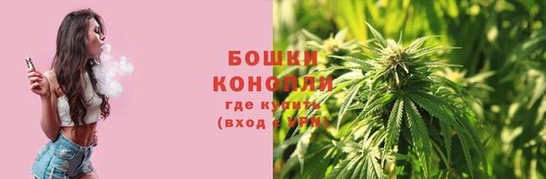 ПСИЛОЦИБИНОВЫЕ ГРИБЫ Зерноград