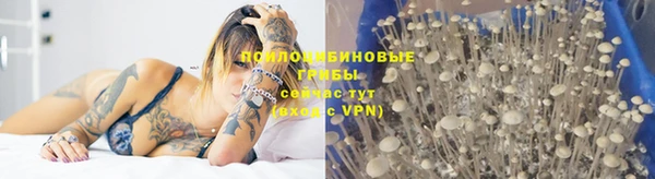 ПСИЛОЦИБИНОВЫЕ ГРИБЫ Зерноград