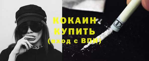 сатива Зеленокумск