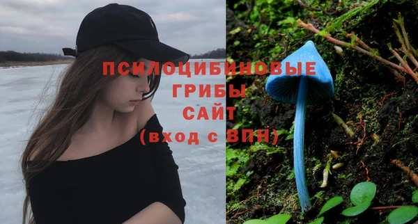 ПСИЛОЦИБИНОВЫЕ ГРИБЫ Зеленодольск