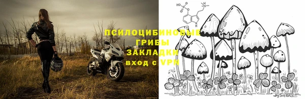 сатива Зеленокумск