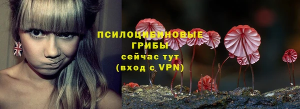 ПСИЛОЦИБИНОВЫЕ ГРИБЫ Зерноград